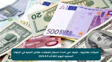 تحركات مفاجئة.. تعرف على أحدث أسعار العملات مقابل الجنيه في البنوك المحلية اليوم الثلاثاء 9-9-2025